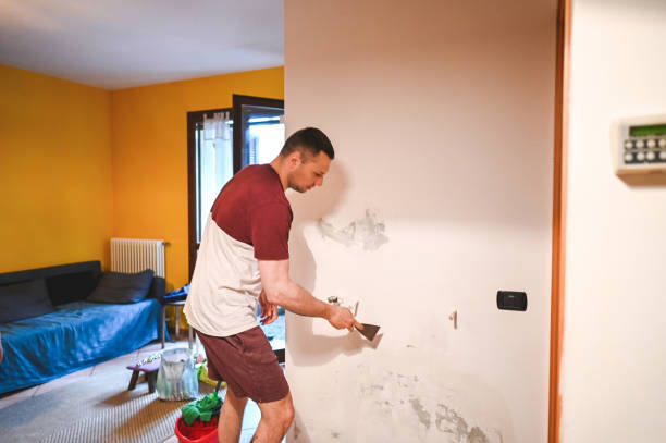 Best Industrial Mold Remediation in New Lenox, IL